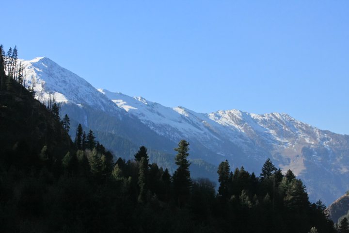IMG_0611