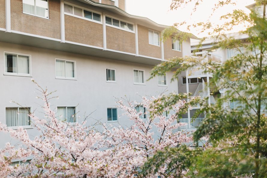 sakura kyoto japan elopement wedding photography 15