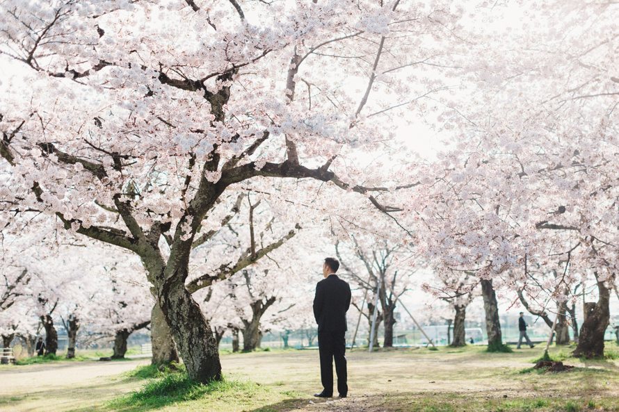 sakura kyoto japan elopement wedding photography 20