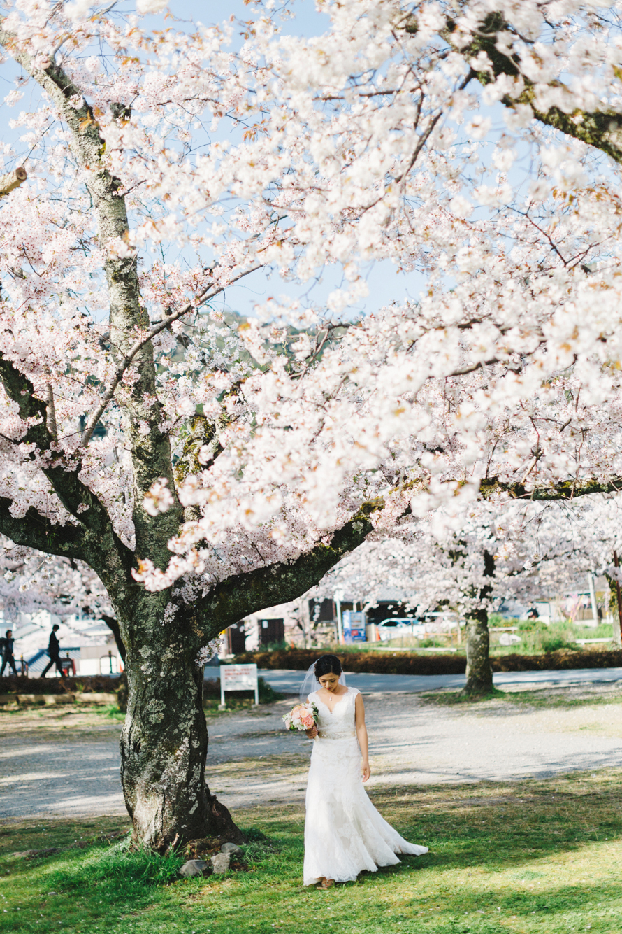 sakura kyoto japan elopement wedding photography 21