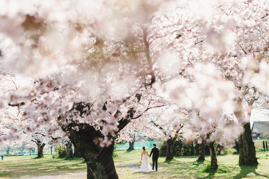 sakura kyoto japan elopement wedding photography 29