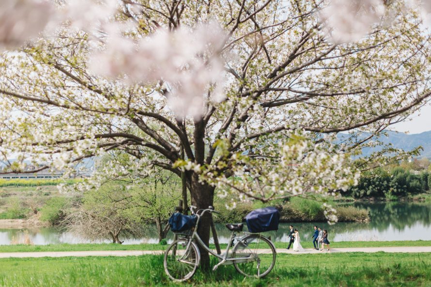 sakura kyoto japan elopement wedding photography 38