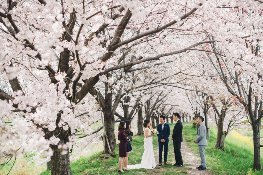 sakura kyoto japan elopement wedding photography 56