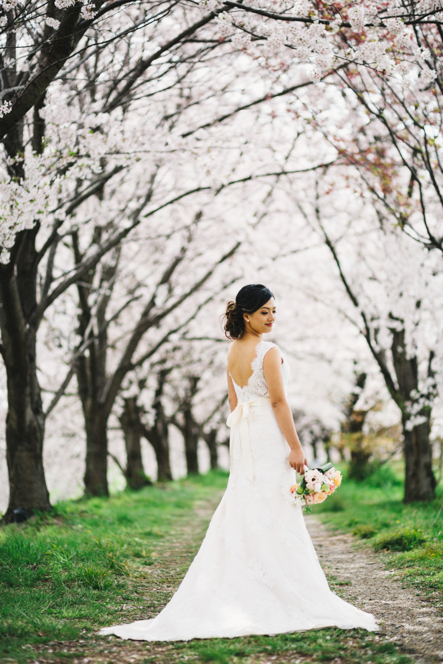sakura kyoto japan elopement wedding photography 70