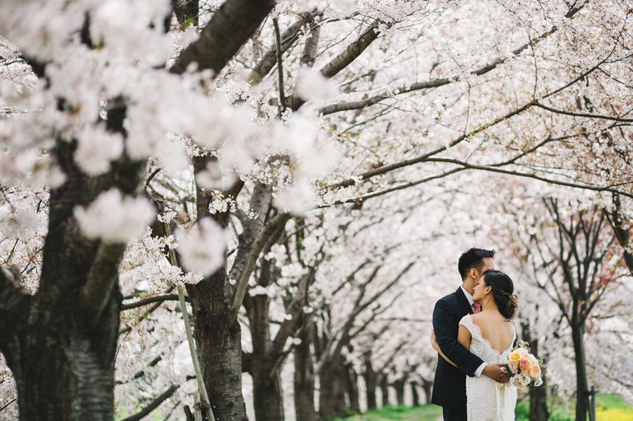 sakura kyoto japan elopement wedding photography 85