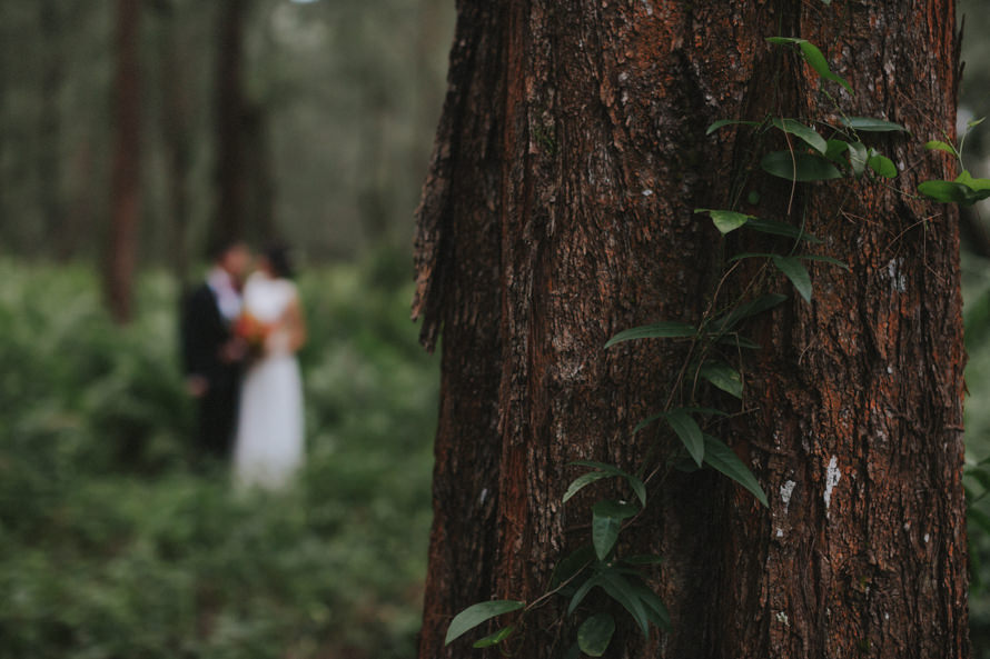coney island, joo chiat, tuas singapore pre wedding photography