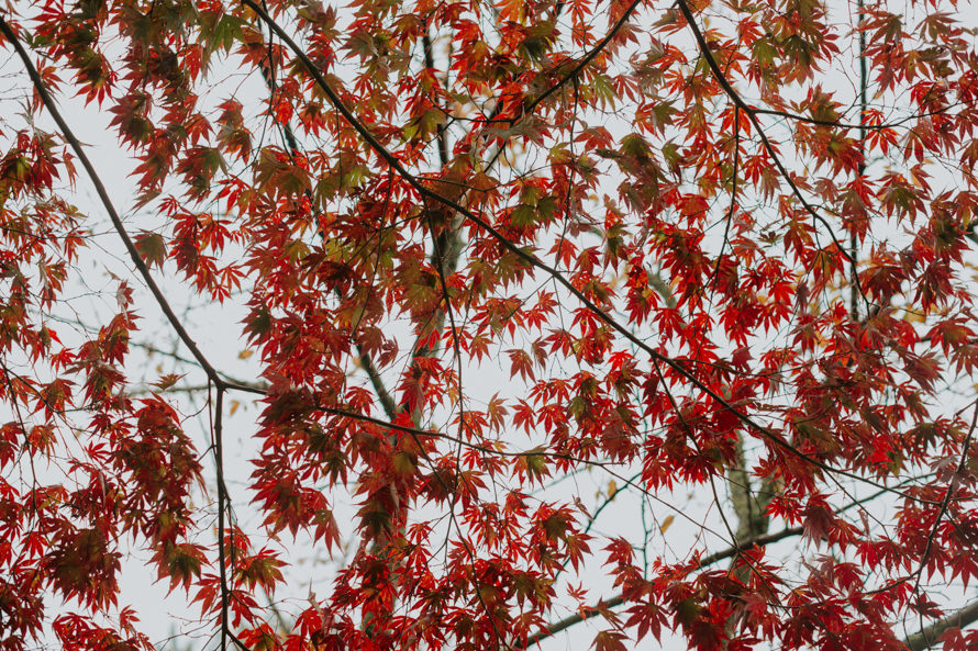 kyoto japan autumn pre wedding photography