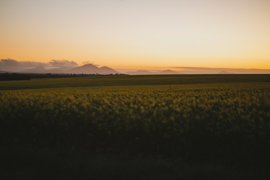perth south coast road trip pre wedding photography