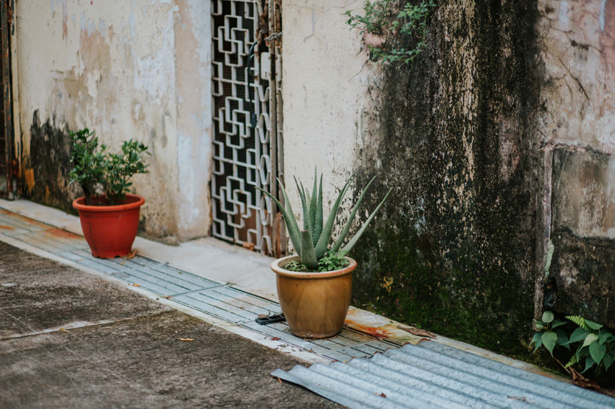 joo chiat katong singapore wedding photography