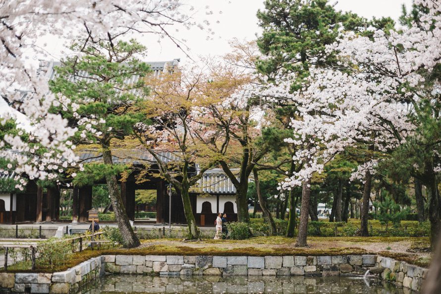 Sakura Pre Wedding Spring April 2017 Tokyo Kyoto Japan