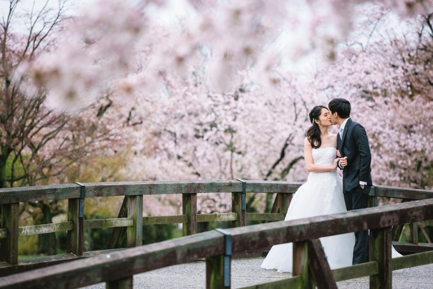 Sakura Pre Wedding Spring April 2017 Tokyo Kyoto Japan