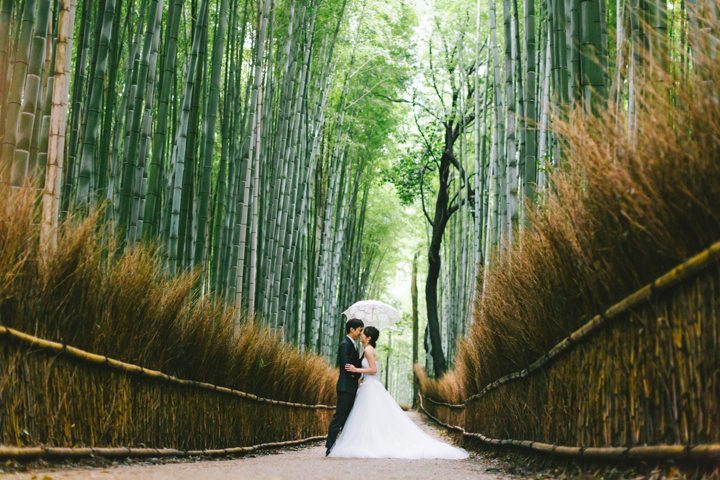 cherry blossom sakura kyoto japan pre wedding photography