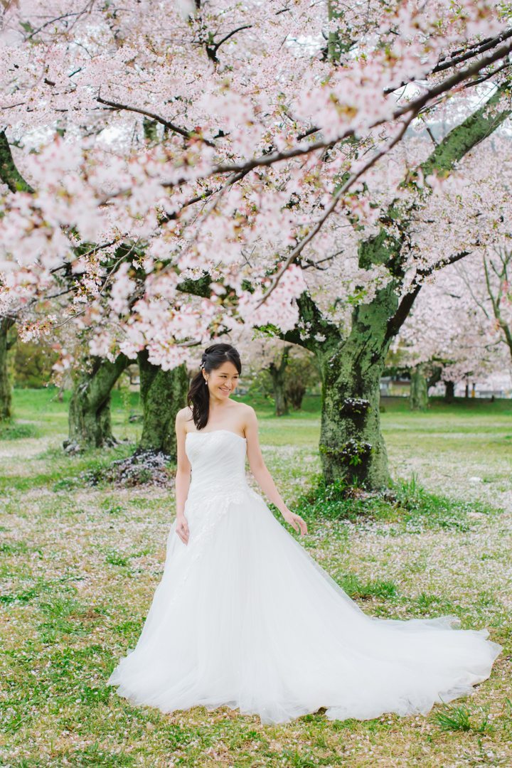 cherry blossom sakura kyoto japan pre wedding photography