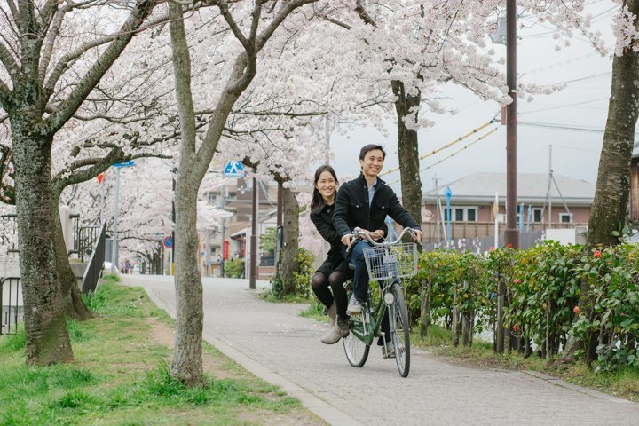 cherry blossom sakura kyoto japan pre wedding photography_6269