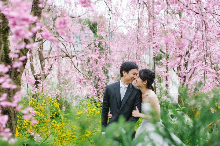 cherry blossom sakura kyoto japan pre wedding photography