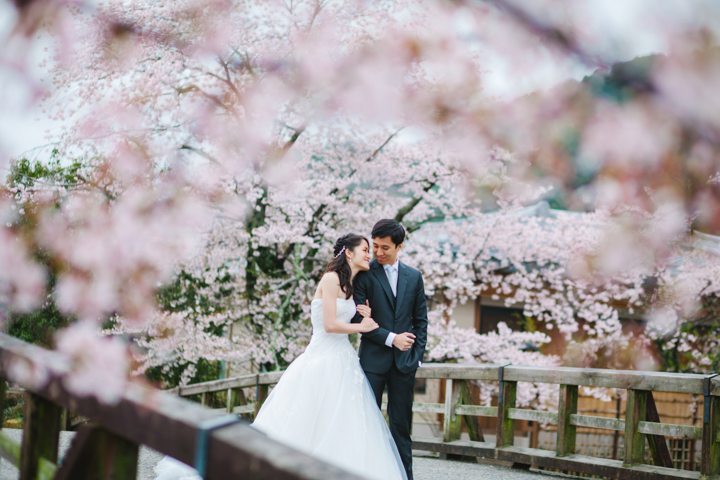 cherry blossom sakura kyoto japan pre wedding photography