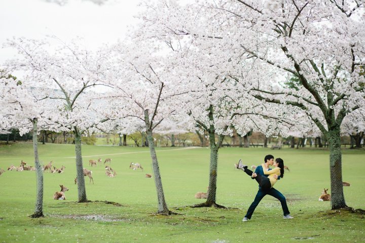 cherry blossom sakura kyoto japan pre wedding photography_6906