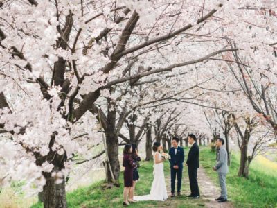 Roy + Fanny // Sakura Elopement