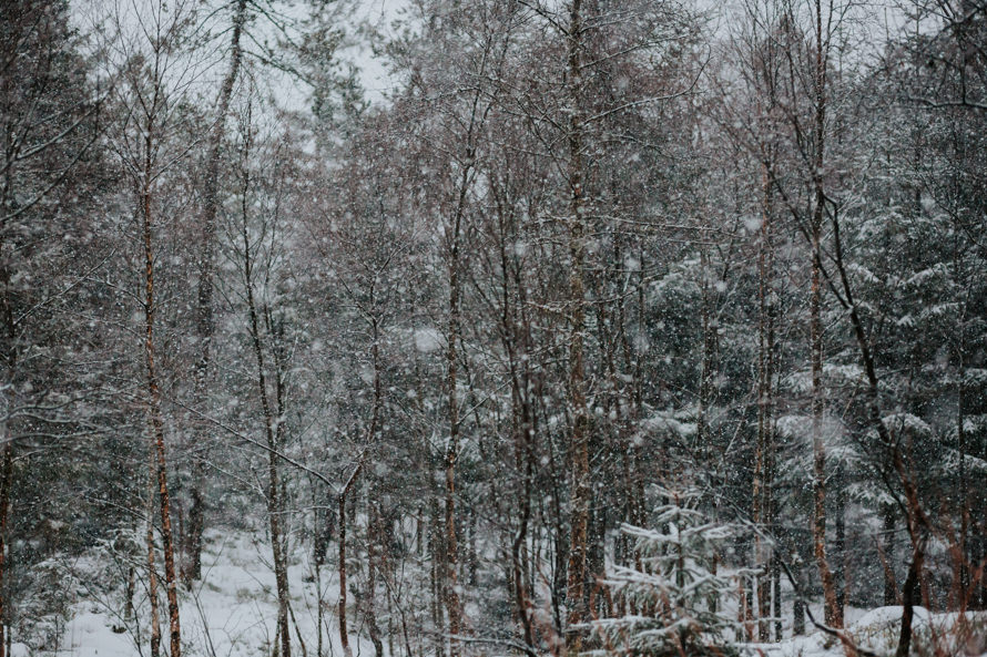 bergen norway winter pre wedding photography