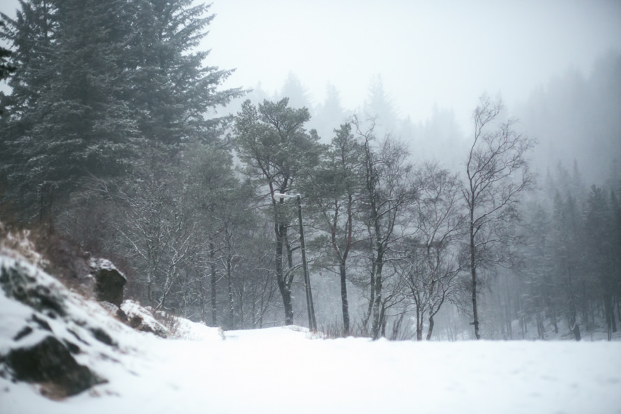 bergen norway winter pre wedding photography