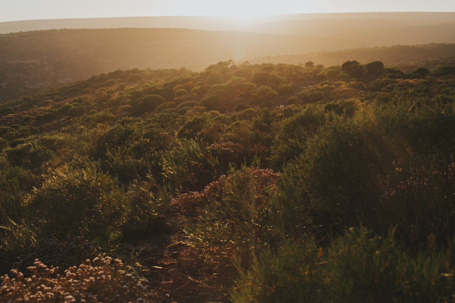 kalbarri, lancelin sand dunes, pinnacles perth pre wedding photography