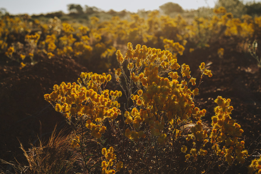 kalbarri, lancelin sand dunes, pinnacles perth pre wedding photography