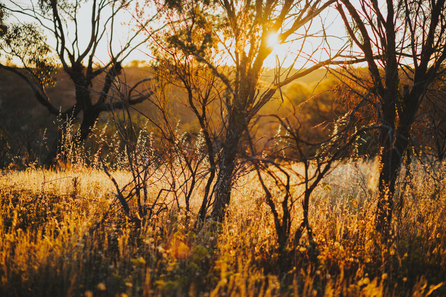 kalbarri, lancelin sand dunes, pinnacles perth pre wedding photography