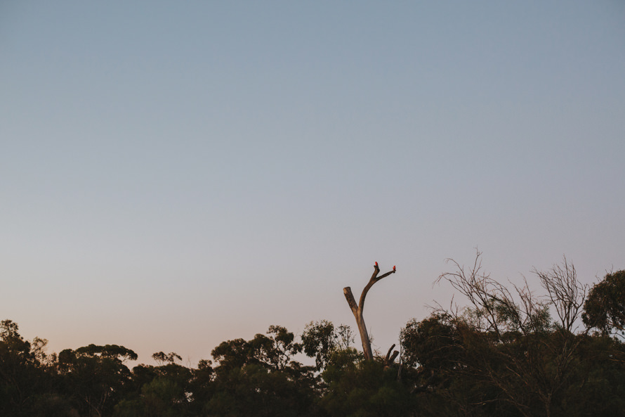 kalbarri, lancelin sand dunes, pinnacles perth pre wedding photography