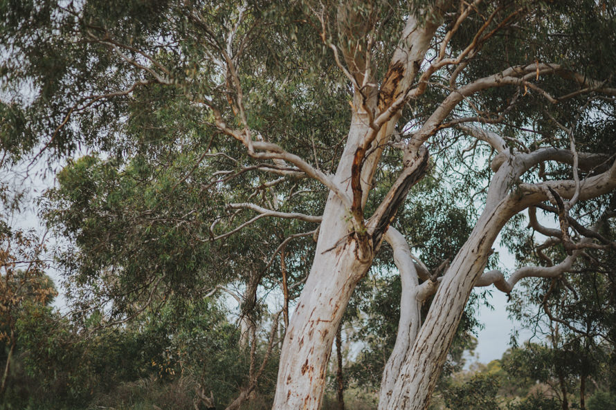 kalbarri, lancelin sand dunes, pinnacles perth pre wedding photography