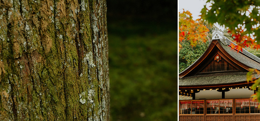 japanese shinto kyoto wedding photography