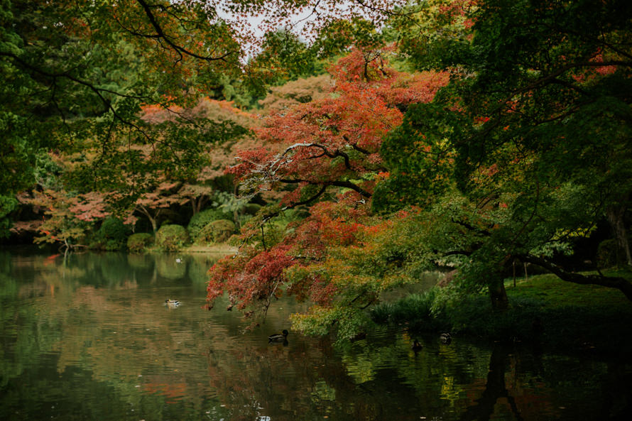 japanese shinto kyoto wedding photography