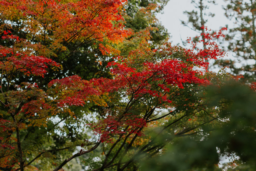 japanese shinto kyoto wedding photography