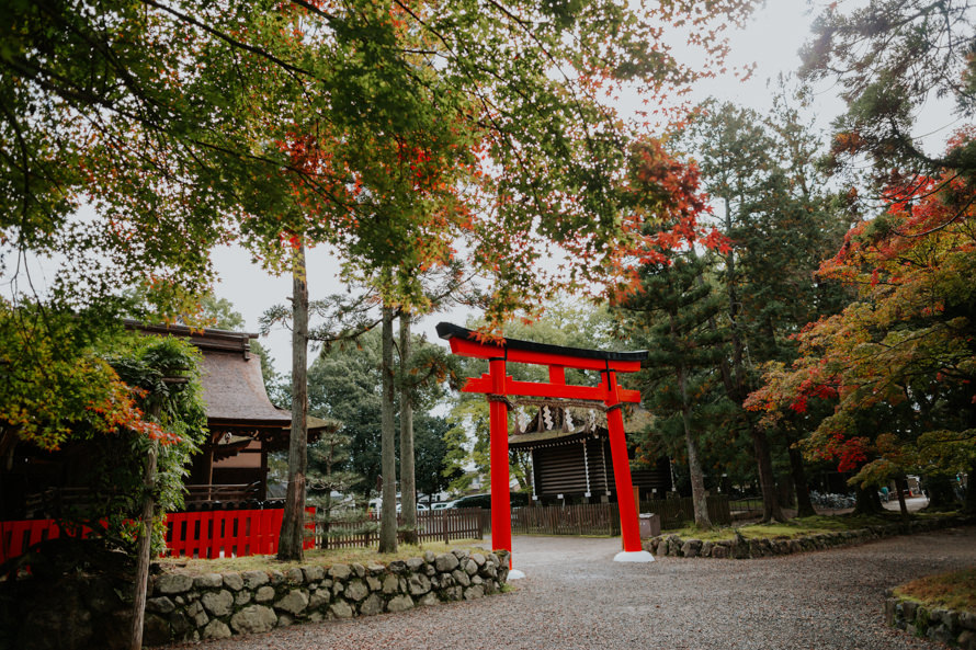 japanese shinto kyoto wedding photography