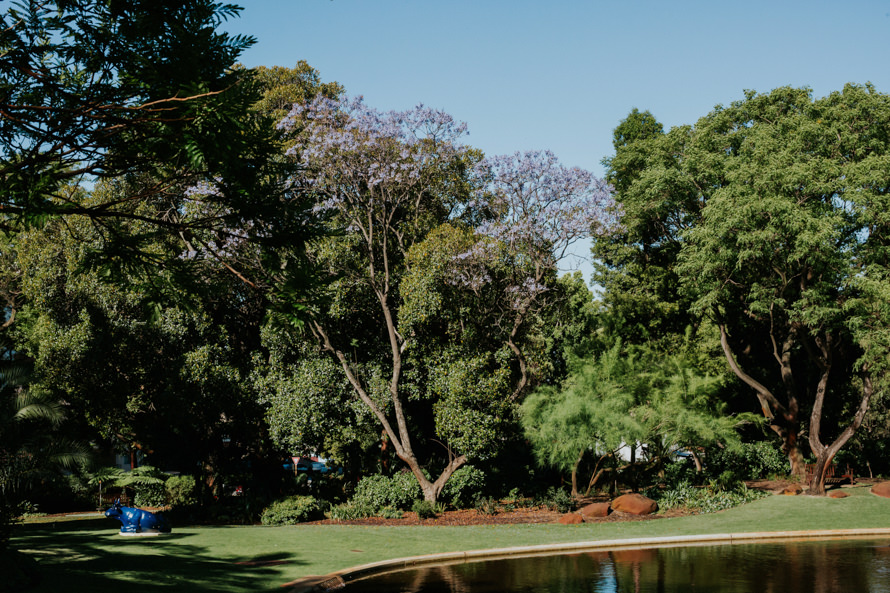 harold boas garden and pagoda perth wedding photography