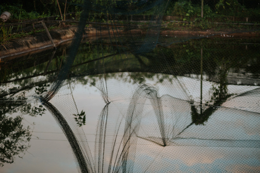 abandoned fish farm singapore pre wedding photography