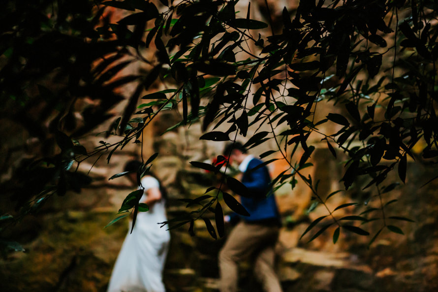 dairy farm singapore pre wedding photography