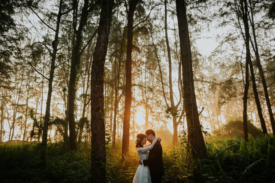 Coney Island and Lower Pierce Reservoir Singapore Pre Wedding Photography