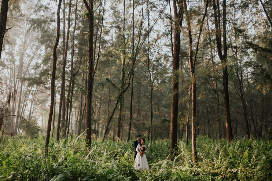 Coney Island and Lower Pierce Reservoir Singapore Pre Wedding Photography