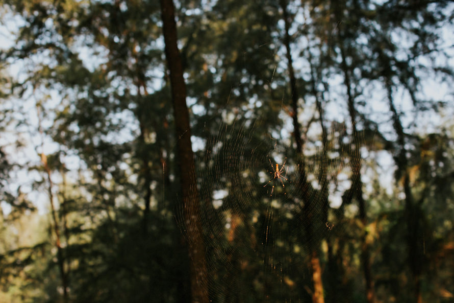 Coney Island and Lower Pierce Reservoir Singapore Pre Wedding Photography