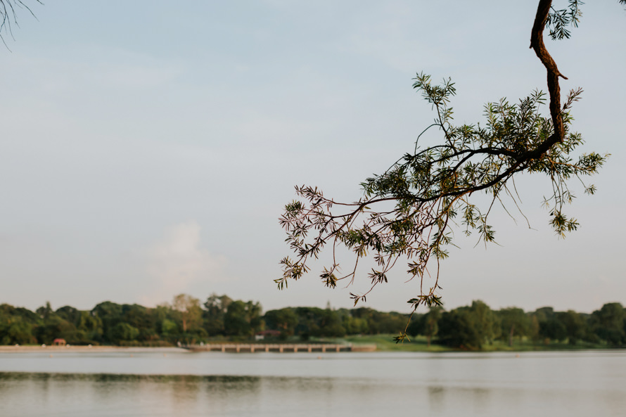 Coney Island and Lower Pierce Reservoir Singapore Pre Wedding Photography