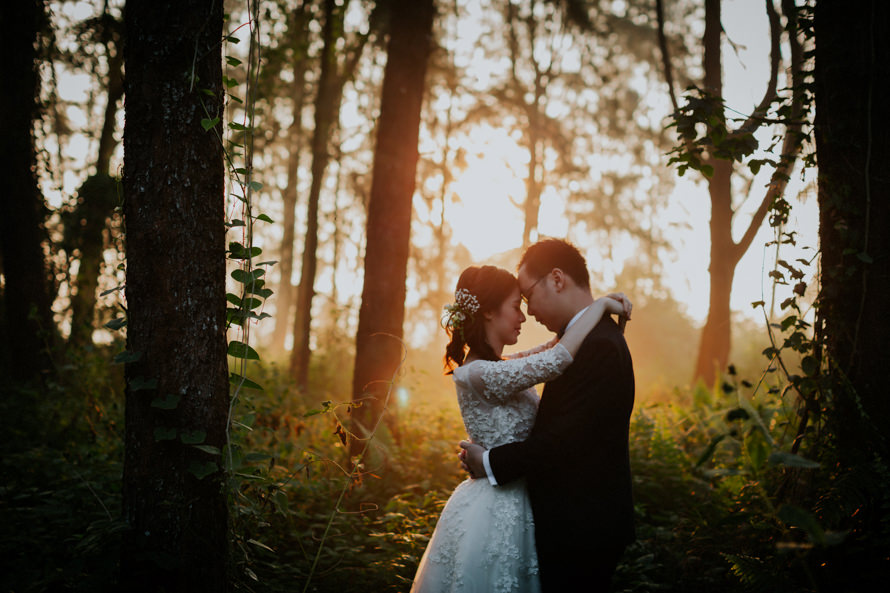 Coney Island and Lower Pierce Reservoir Singapore Pre Wedding Photography