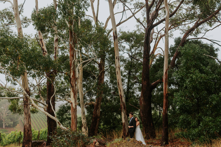 Adelaide and Kangaroo Island Road Trip Pre Wedding Photography