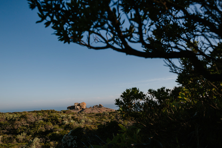 Adelaide and Kangaroo Island Road Trip Pre Wedding Photography