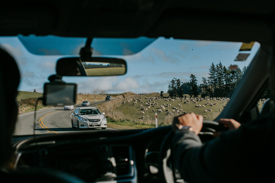New Zealand Pre Wedding Photography