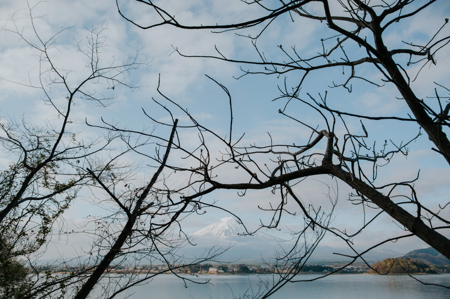 Mount Fuji Tokyo Japan Sakura Pre Wedding Photography
