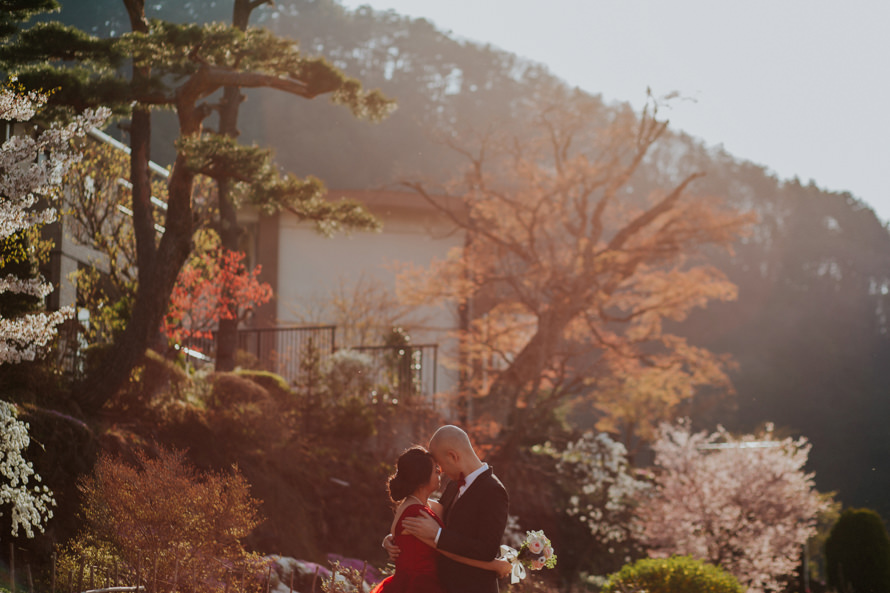 Mount Fuji Tokyo Japan Sakura Pre Wedding Photography