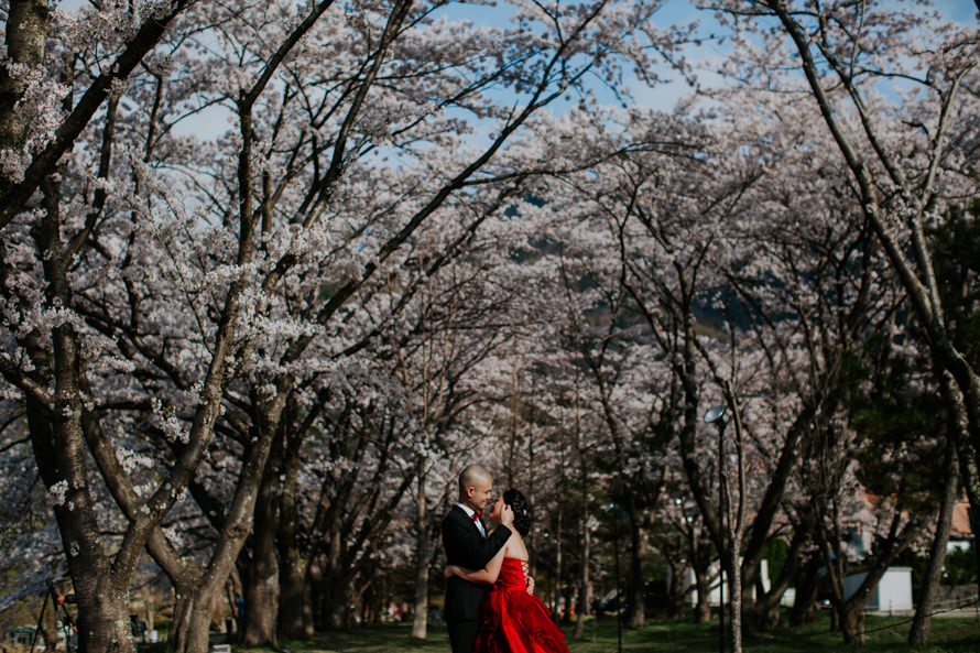 Mount Fuji Tokyo Japan Sakura Pre Wedding Photography