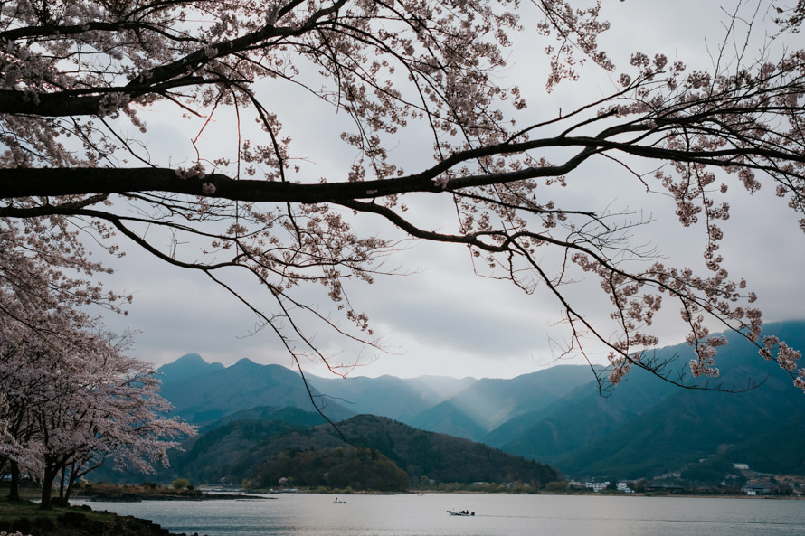 Mount Fuji Tokyo Japan Sakura Pre Wedding Photography