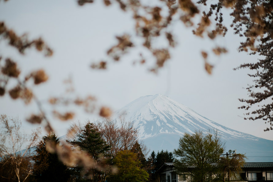 Mount Fuji Tokyo Japan Sakura Pre Wedding Photography