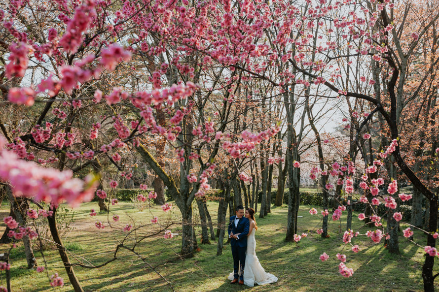 Japan Pre Wedding Photography
